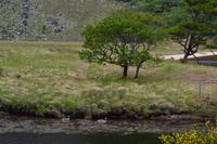 Wanderung im Glenveagh-Nationalpark