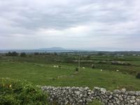 Wanderung unterhalb des Ben Bulben - Blick zum Knocknarea