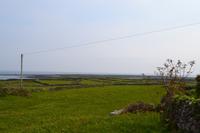 Ausflug auf die Aran Islands