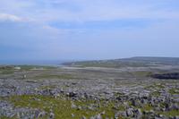 Ausflug auf die Aran Islands - Klippen bei Dun Aengus