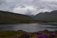 Fotostopp am Killary Harbour