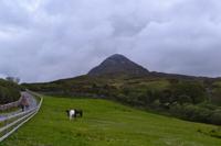 Wanderung im Connemara-Nationalpark