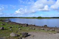 Wanderung im Coole Park