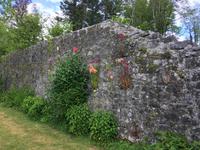 Wanderung im Coole Park