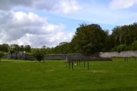 Wanderung im Coole Park