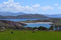 Zusatzwanderung zum Derrynane House
