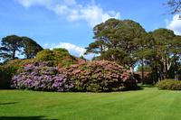 Spaziergang vom Torc Waterfall zum Muckross House