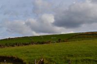 Fotostopp in Hollywood