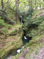 Wanderung in Glendalough - Poulabass-Wasserfall