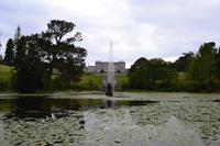 Powerscourt Gardens