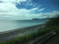 Zugfahrt von Greystones nach Dublin