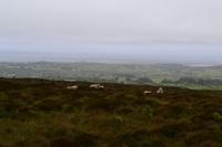 Wanderung am Ben Bulben