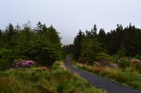 Wanderung am Ben Bulben