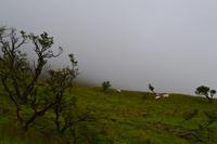 Wanderung am Ben Bulben