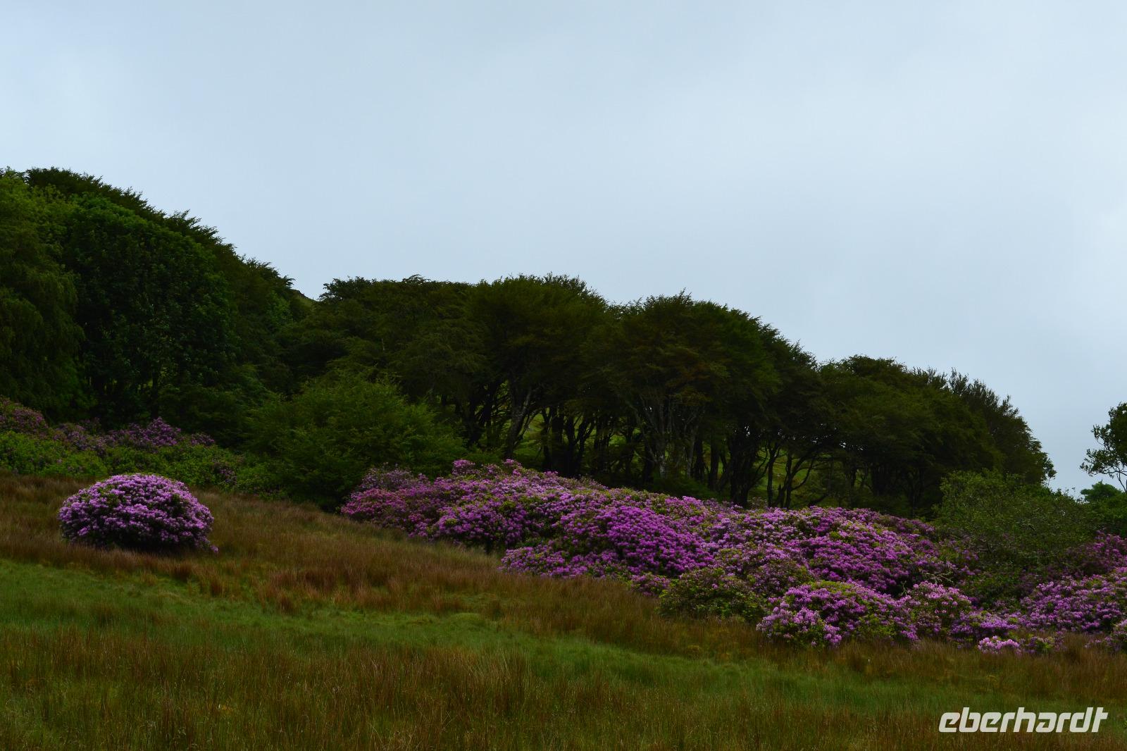 Wanderung am Ben Bulben