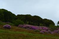 Wanderung am Ben Bulben