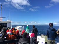 Tag auf den Aran Islands - Überfahrt nach Kilronan