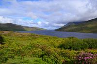 Fotostopp am Killary Harbour
