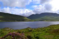 Fotostopp am Killary Harbour