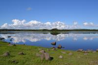 Wanderung in Coole Park