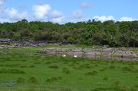 Wanderung in Coole Park