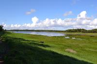 Wanderung in Coole Park