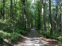 Wanderung in Coole Park