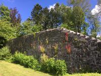 Wanderung in Coole Park