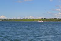 Fahrt über den Shannon