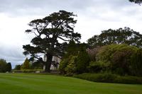 Killarney-Nationalpark - Muckross House