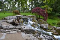 Auf dem Nationalgestüt bei Kildare