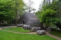 Auf dem Nationalgestüt bei Kildare