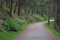 Wanderung in Glendalough