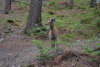 Wanderung in Glendalough