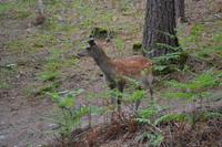 Wanderung in Glendalough