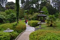 Besuch der Powerscourt Gardens