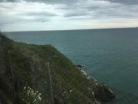 Zugfahrt von Greystones nach Dublin