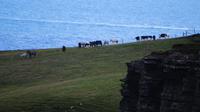 Cliffs of Moher