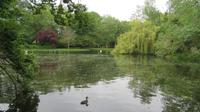 Stephens Green