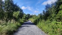 179 – Irland, Gort, Coole Park