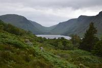 Glenveagh-Nationalpark - Blick vom Aussichtspunkt auf das Tal