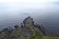 Ausflug nach Nordirland - Am Giant's Causeway