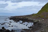 Ausflug nach Nordirland - Am Giant's Causeway