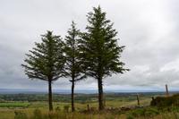 Wanderung am Ben Bulben