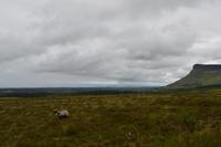 Wanderung am Ben Bulben