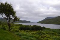 Am Killary Harbour