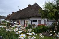 Zwischenstopp in Adare