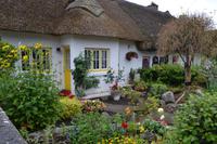 Zwischenstopp in Adare