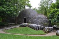 Besichtigung des Irischen Nationalgestüts bei Kildare