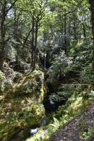 Wanderung in Glendalough